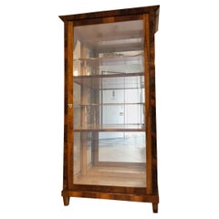 Restored Original Biedermeier Vitrine from circa 1845