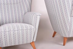 Restored Pair of Czechoslovakia Midcentury Armchairs, 1950-1960