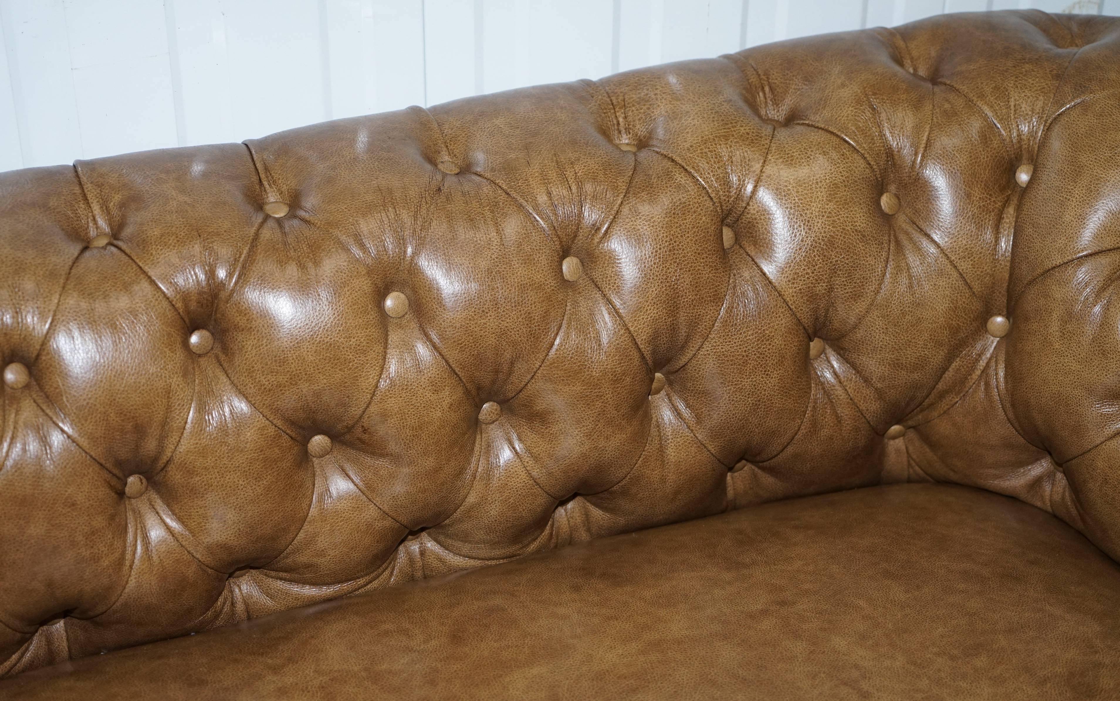 Restored Victorian Walnut Framed Chesterfield Club Sofa Heritage Brown Leather 3