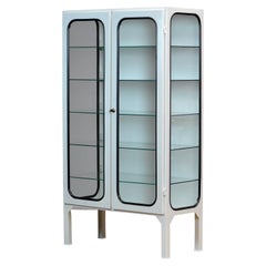 Armoire médicale en verre et en fer vintage restaurée, 1970