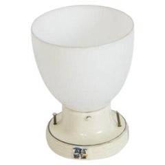 Restored Vintage Porcelain Flush Mount Fixture with Milk Glass