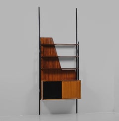 Restored Vittorio Dassi Wall Unit - Iconic 1950s Italian Bookcase