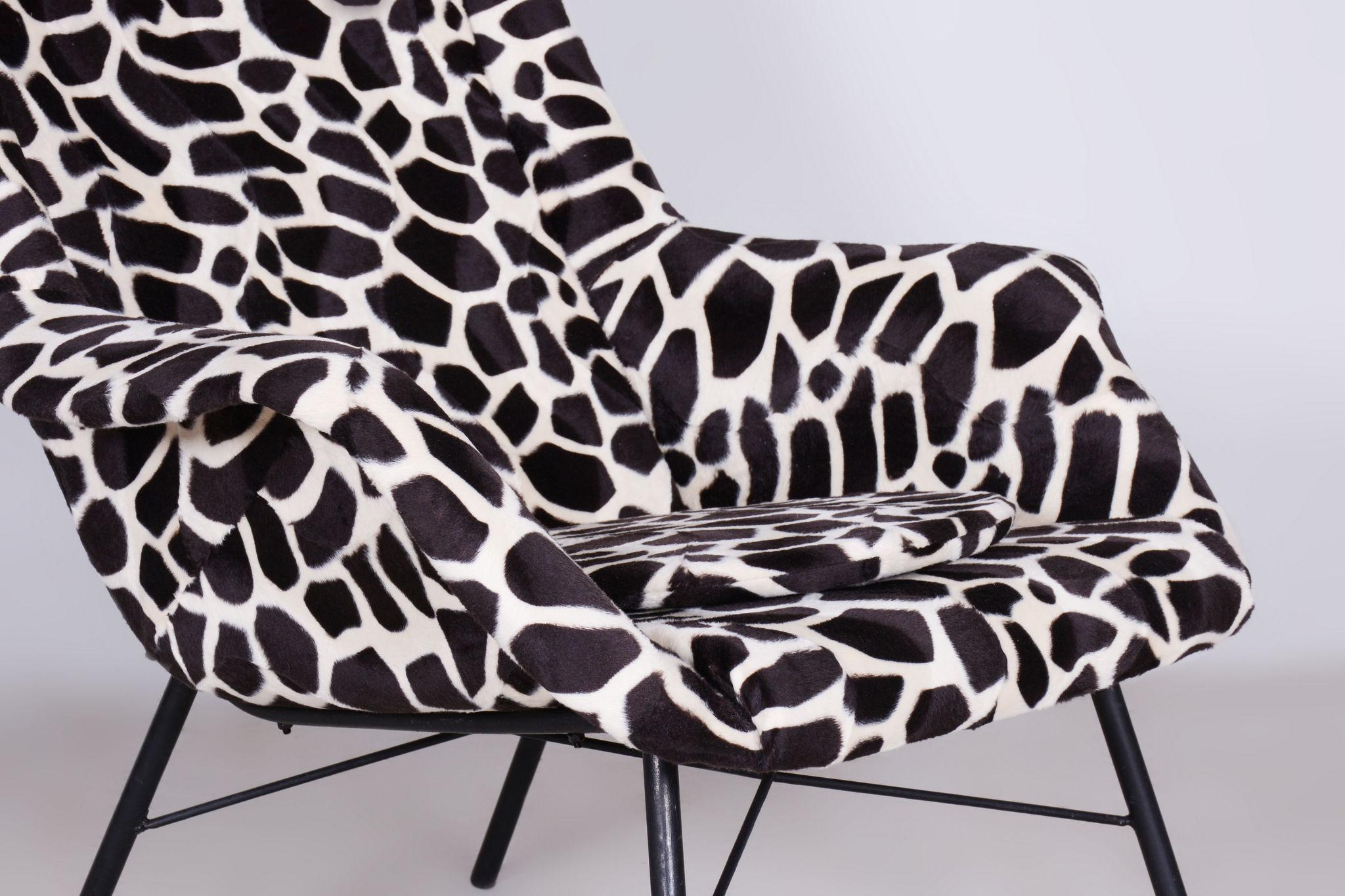 Mid-Century Modern Restored Wingchair, Miroslav Navratil, Imitation Giraffe Fur, Czechia, 1950s For Sale
