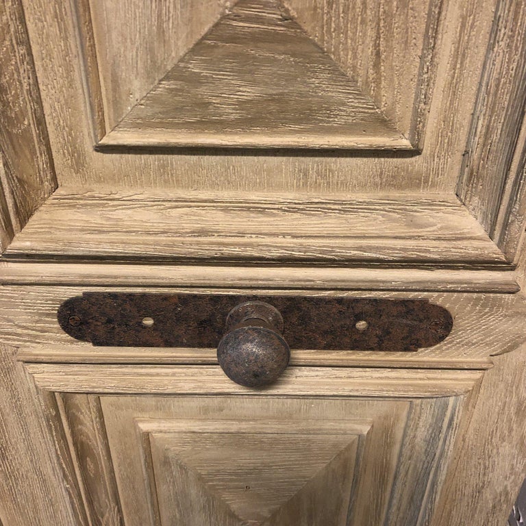 Restortion Hardware 19th Century French Carved Door Panel DoubleDoor For Sale at 1stDibs