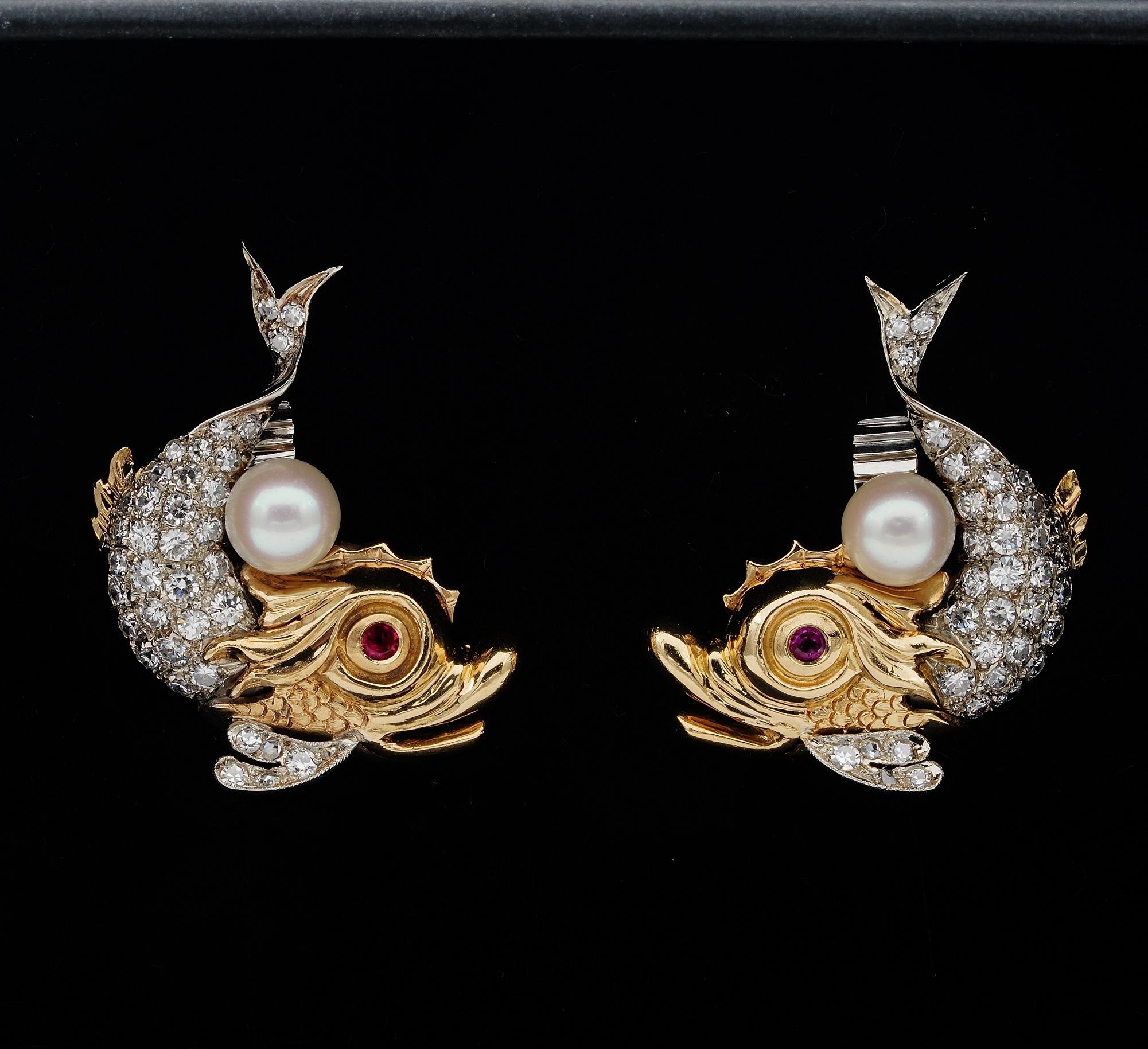 Defiantly different, drawn to the unusual, stunning pair of Vintage earrings of rare Dolphin design, renaissance inspired, 1940 ca
Hand crafted as unique in an extremely fine manner of solid 18 kt gold, they have a net contrast between the gold