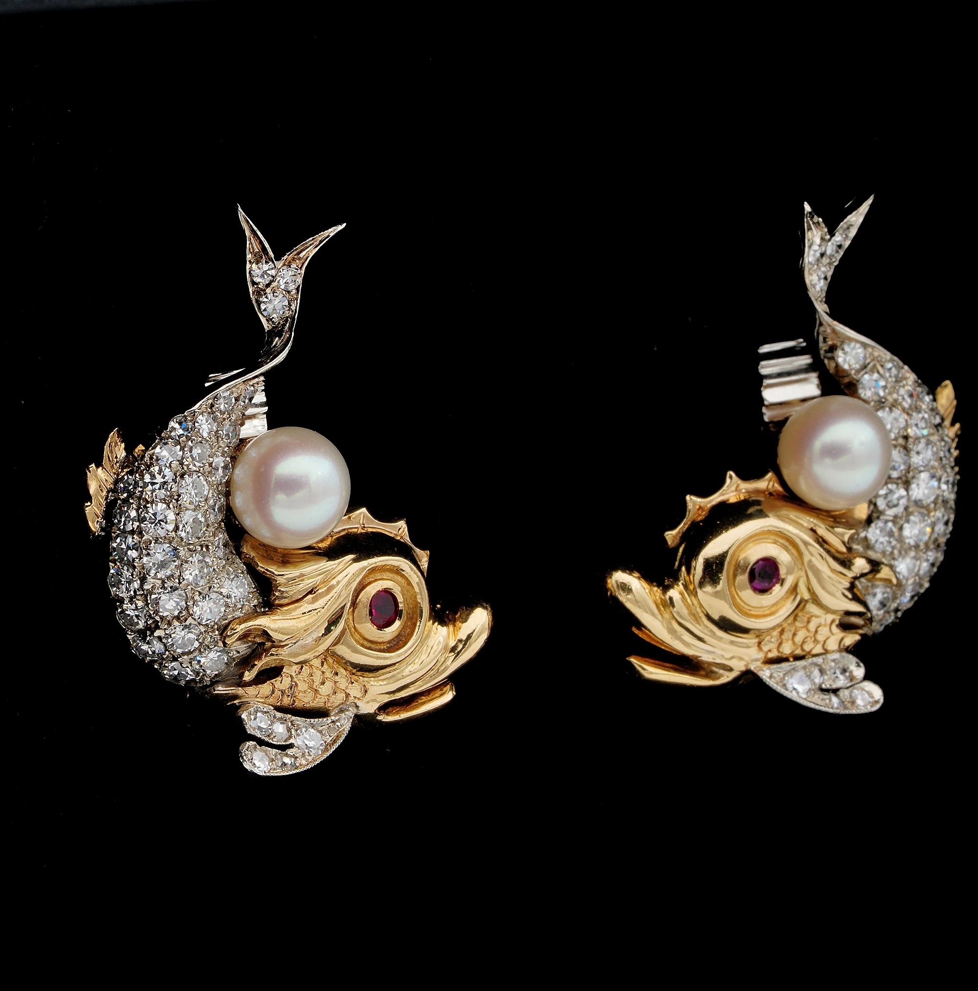 dolphin design earrings