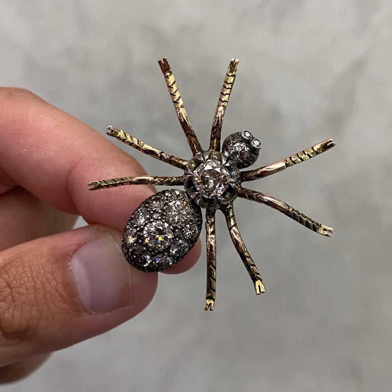 Spider Brooch for Sale in Harrisburg, PA - OfferUp