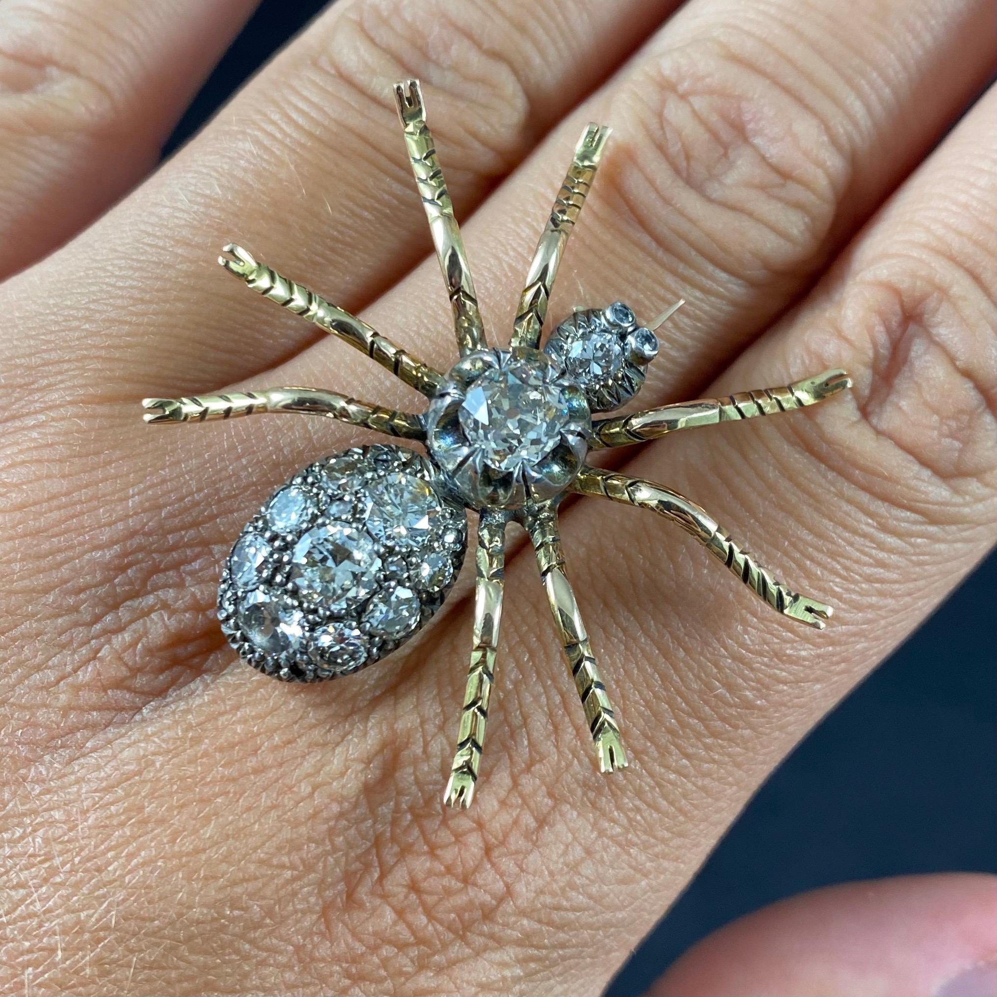 antique spider brooch