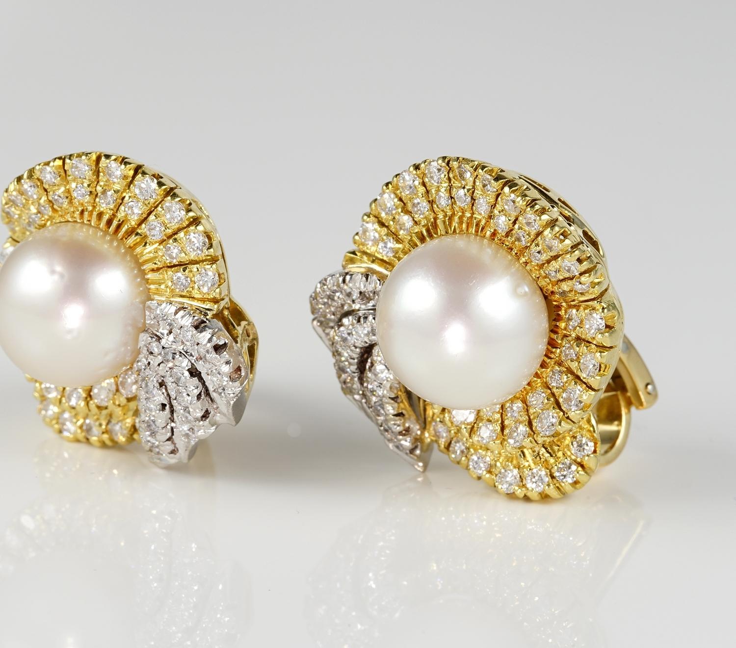 Women's Retro Fabulous South Sea Pearl Diamond 18 KT Bow Earrings For Sale