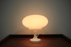 Retro Illuminating Glass Valašské Meziříčí, 1975