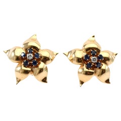 Clip-on Earrings