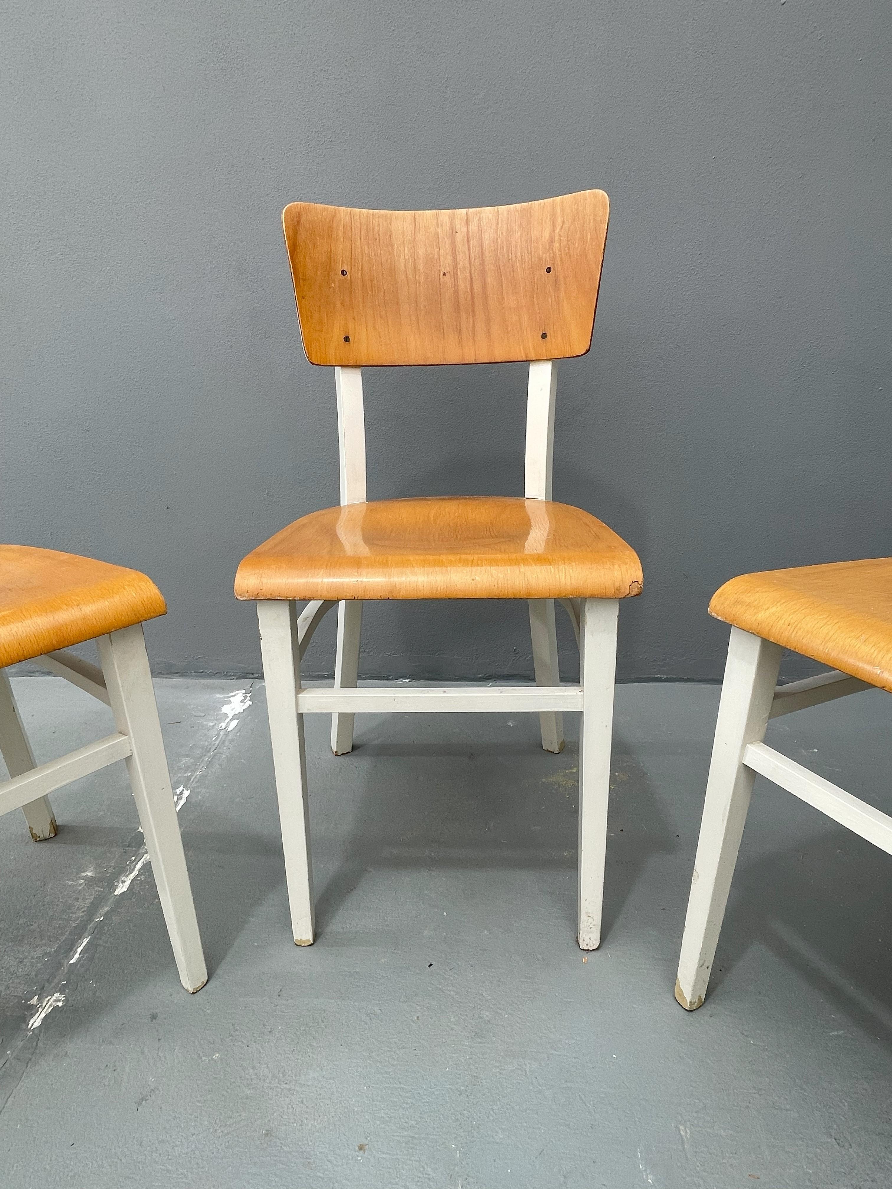 Sedie da cucina retrò in legno, anni '50, Cecoslovacchia, set di 3 In condizioni ottime in vendita a Prague 8, CZ