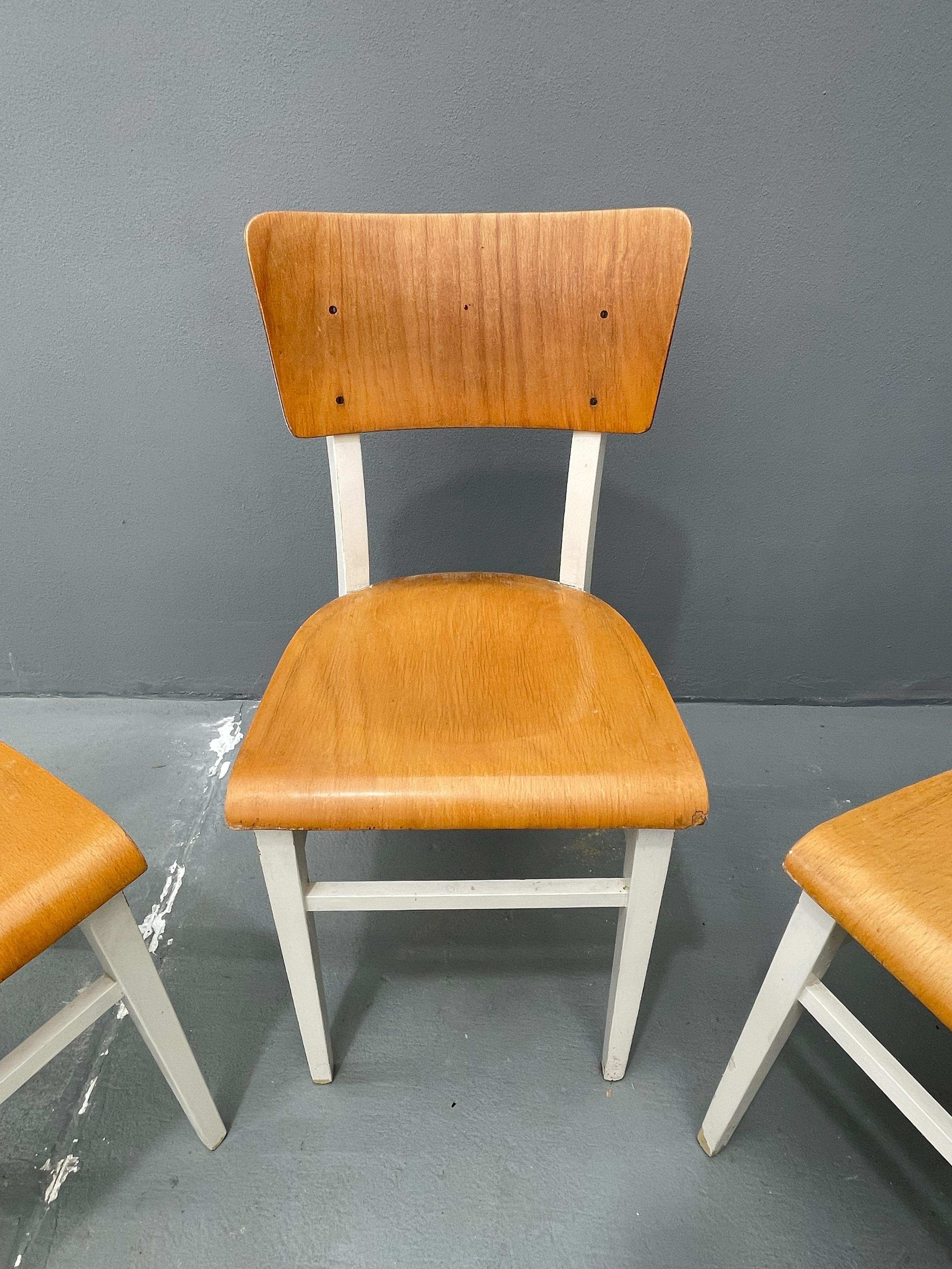 XX secolo Sedie da cucina retrò in legno, anni '50, Cecoslovacchia, set di 3 in vendita