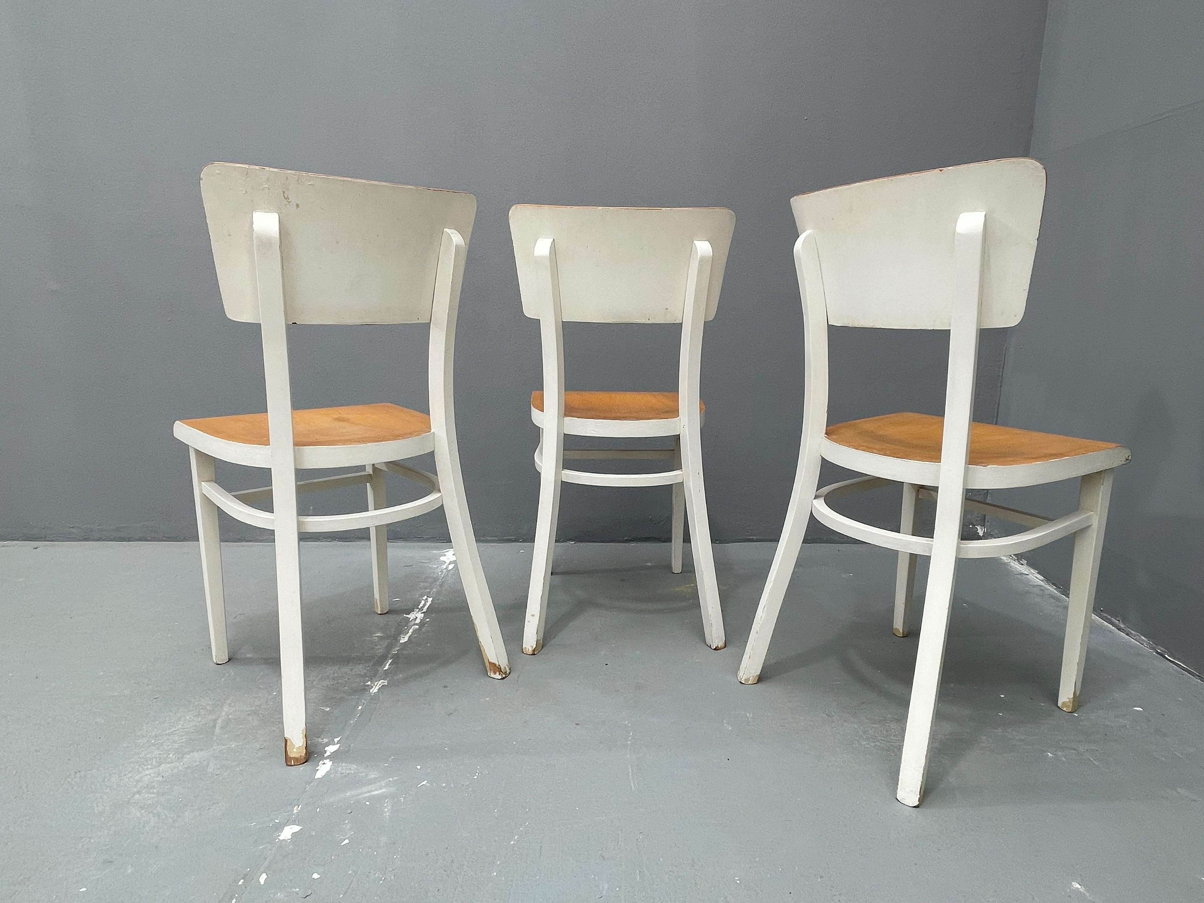 Sedie da cucina retrò in legno, anni '50, Cecoslovacchia, set di 3 in vendita 2
