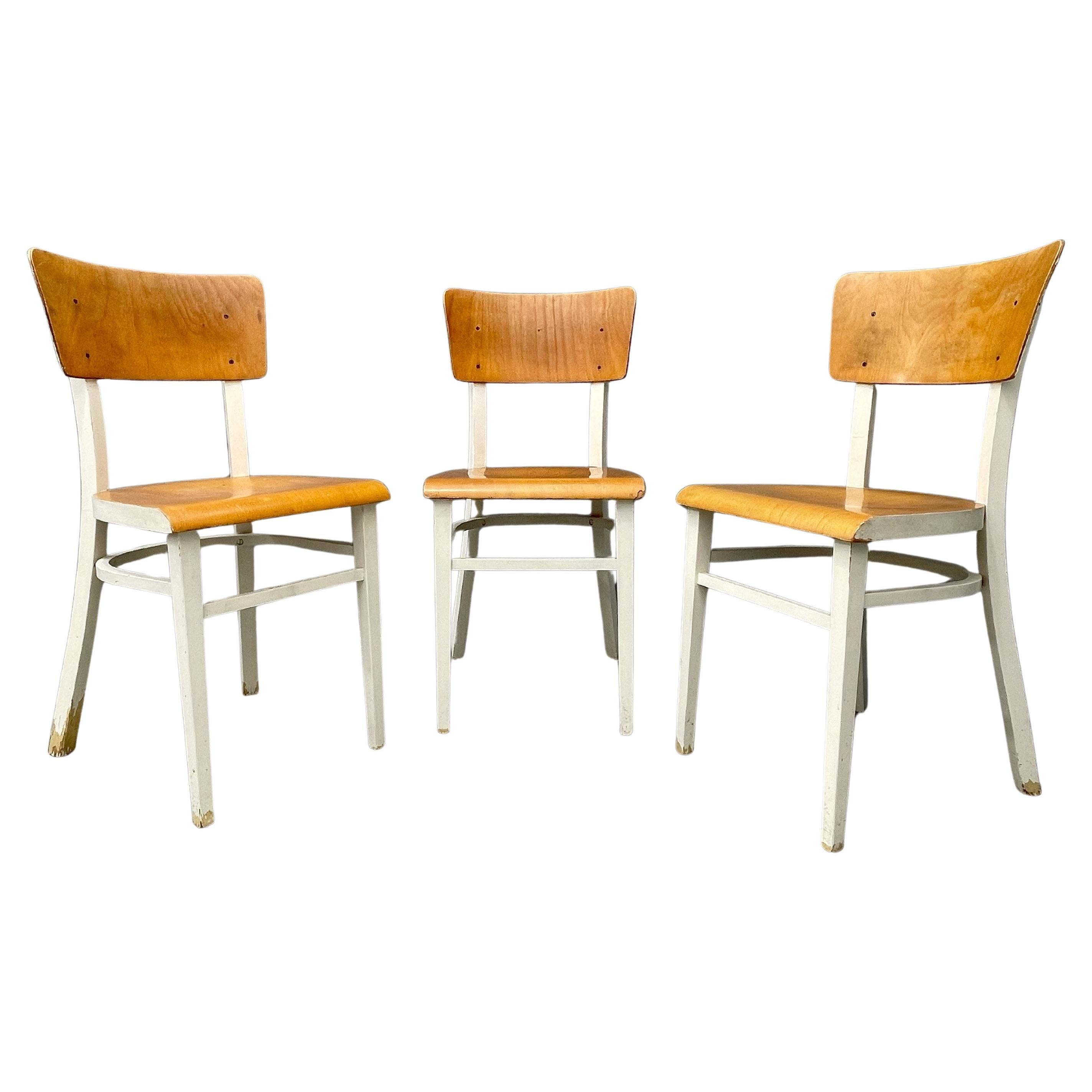 Retro-Küchenstühle aus Holz, 1950er Jahre, Tschechoslowakei, 3er-Set