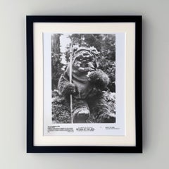 Return of the jedi 1983 Publicity Film Movie Press Still Framed