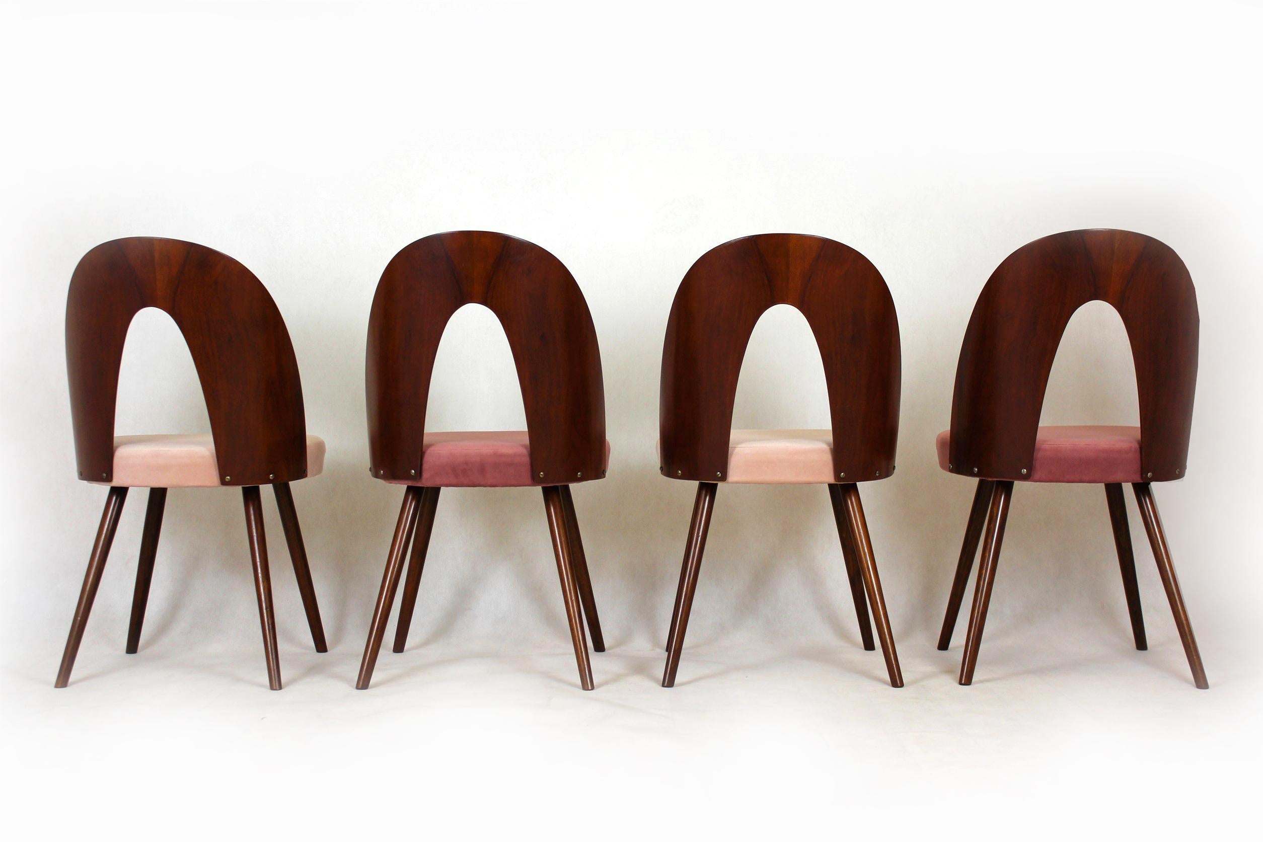 Reupholstered Dining Chairs by Antonin Suman, 1960s, Set of 4 4