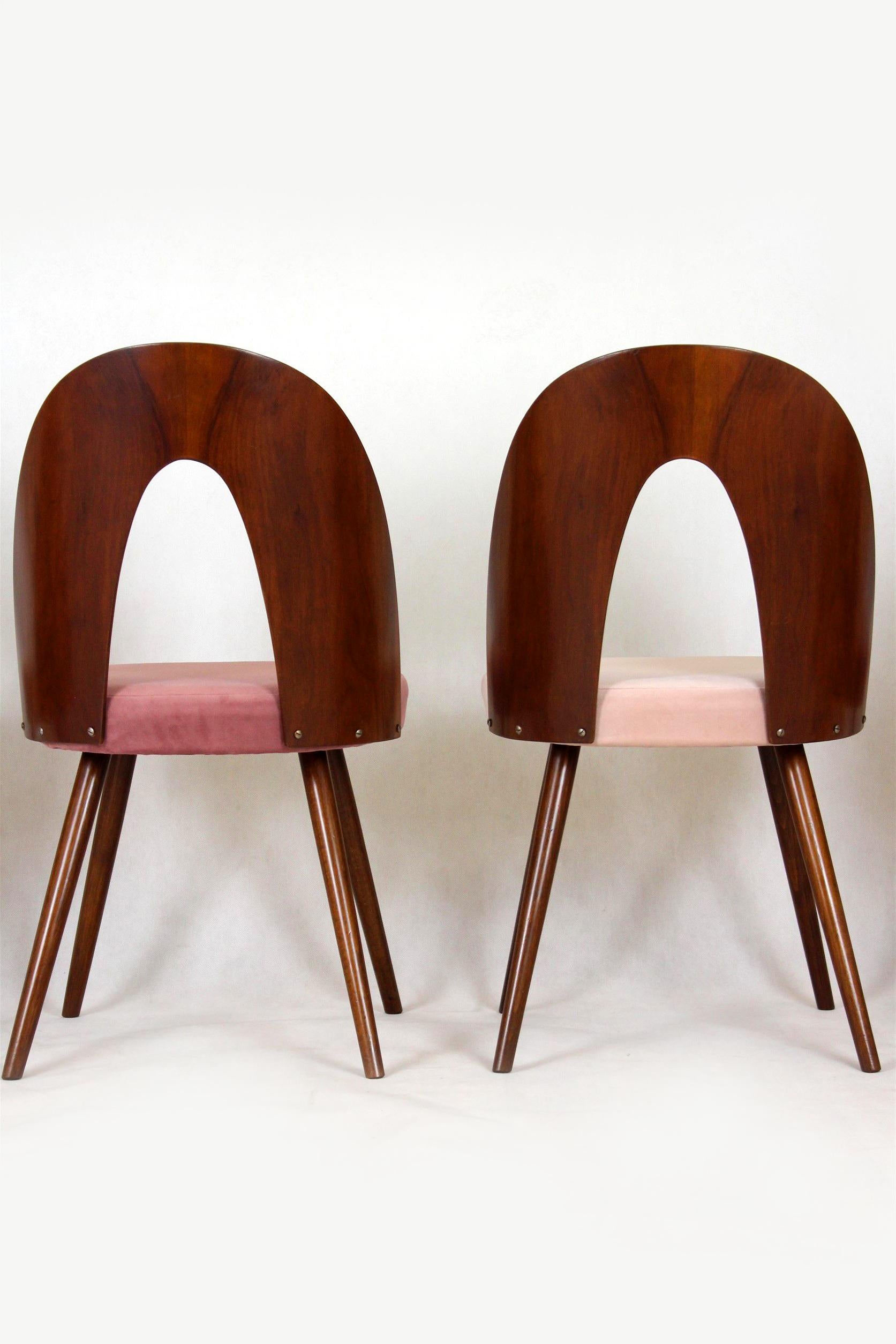 Reupholstered Dining Chairs by Antonin Suman, 1960s, Set of 4 5