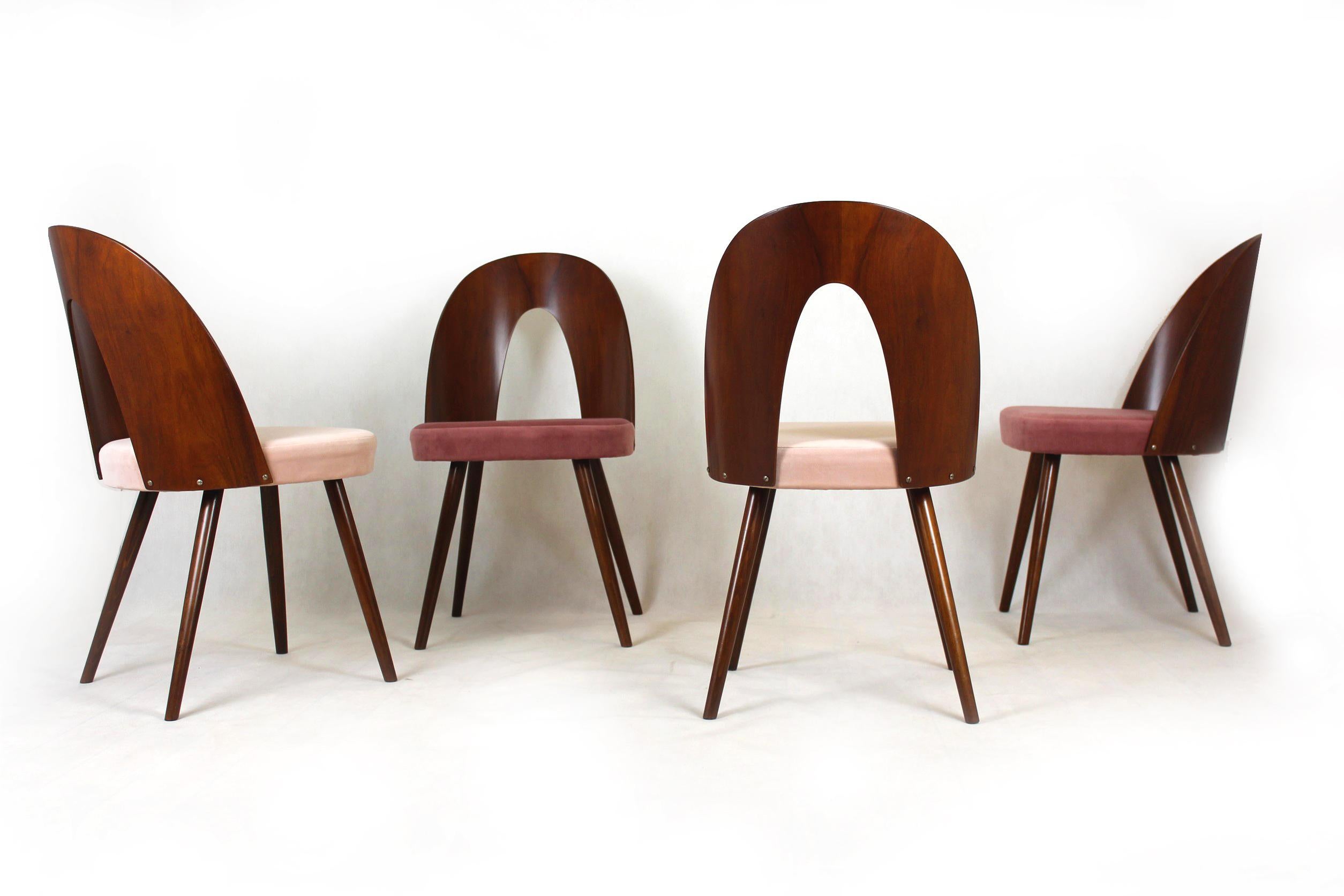Reupholstered Dining Chairs by Antonin Suman, 1960s, Set of 4 8