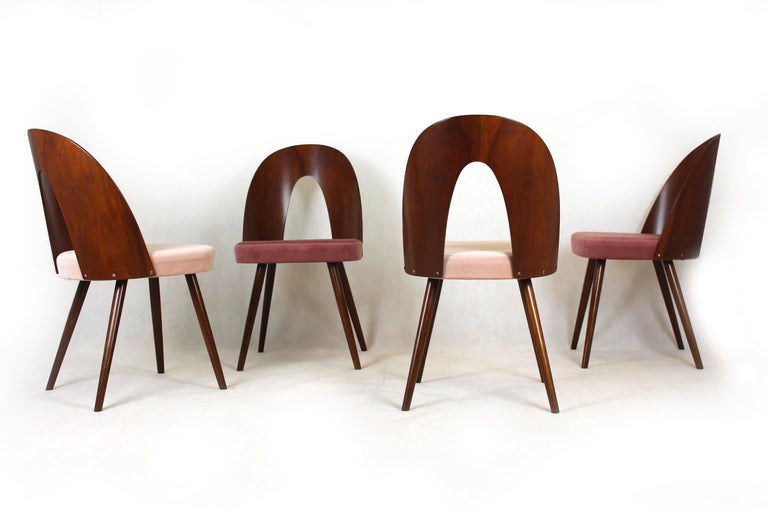 Reupholstered Dining Chairs by Antonin Suman, 1960s, Set of 4 For Sale 8
