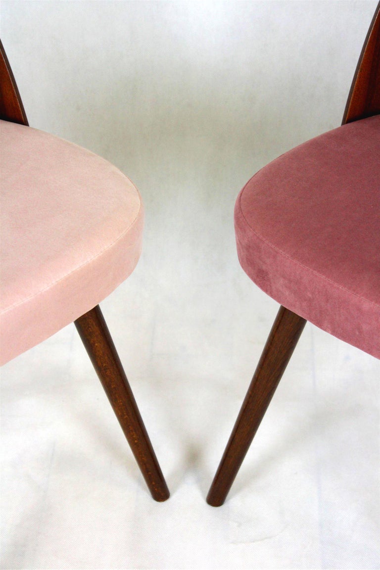 Mid-Century Modern Reupholstered Dining Chairs by Antonin Suman, 1960s, Set of 4 For Sale