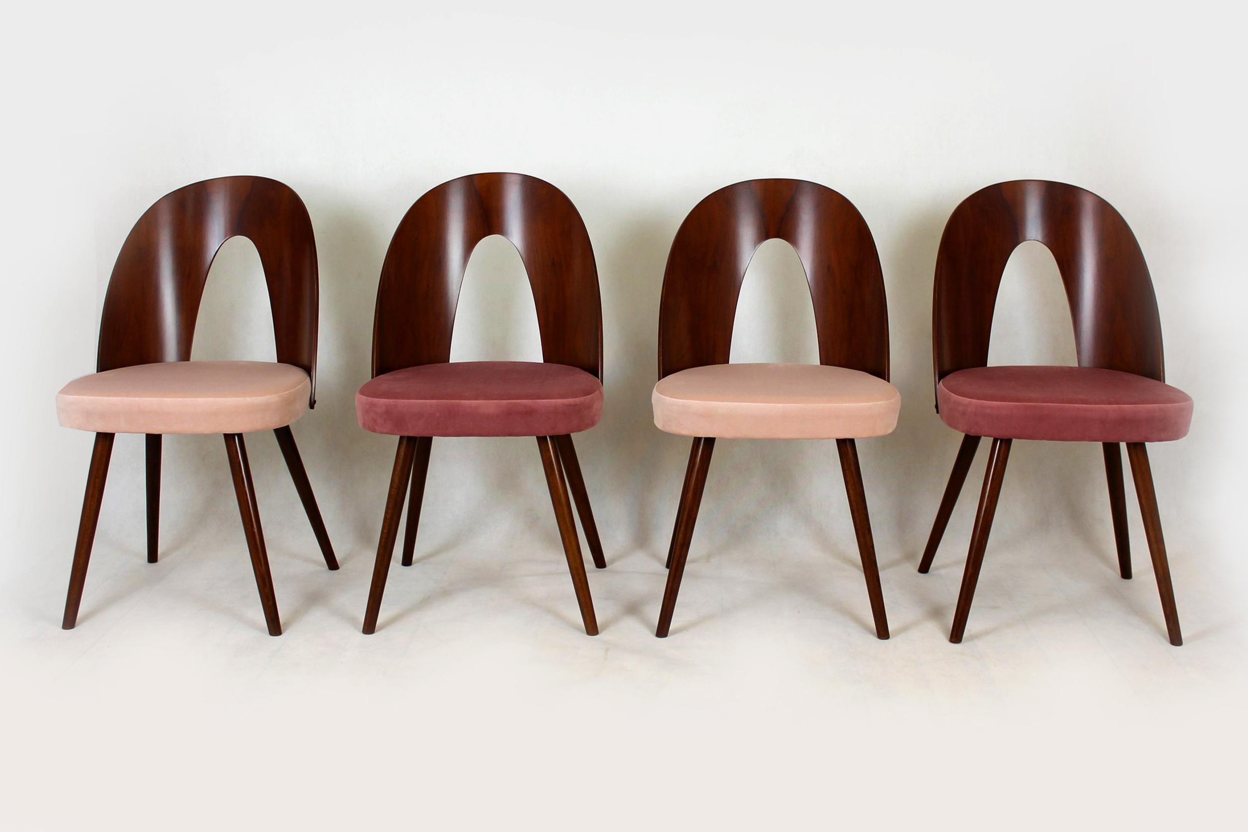 20th Century Reupholstered Dining Chairs by Antonin Suman, 1960s, Set of 4