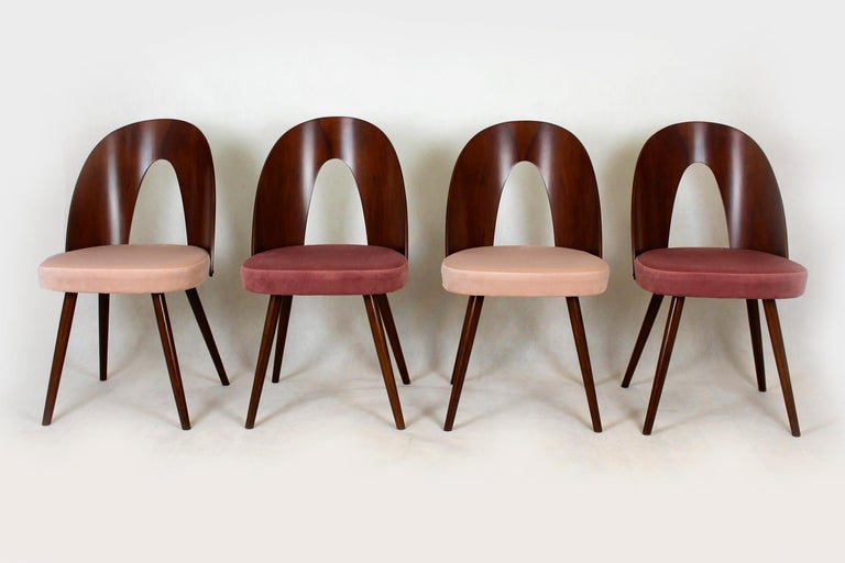 20th Century Reupholstered Dining Chairs by Antonin Suman, 1960s, Set of 4 For Sale
