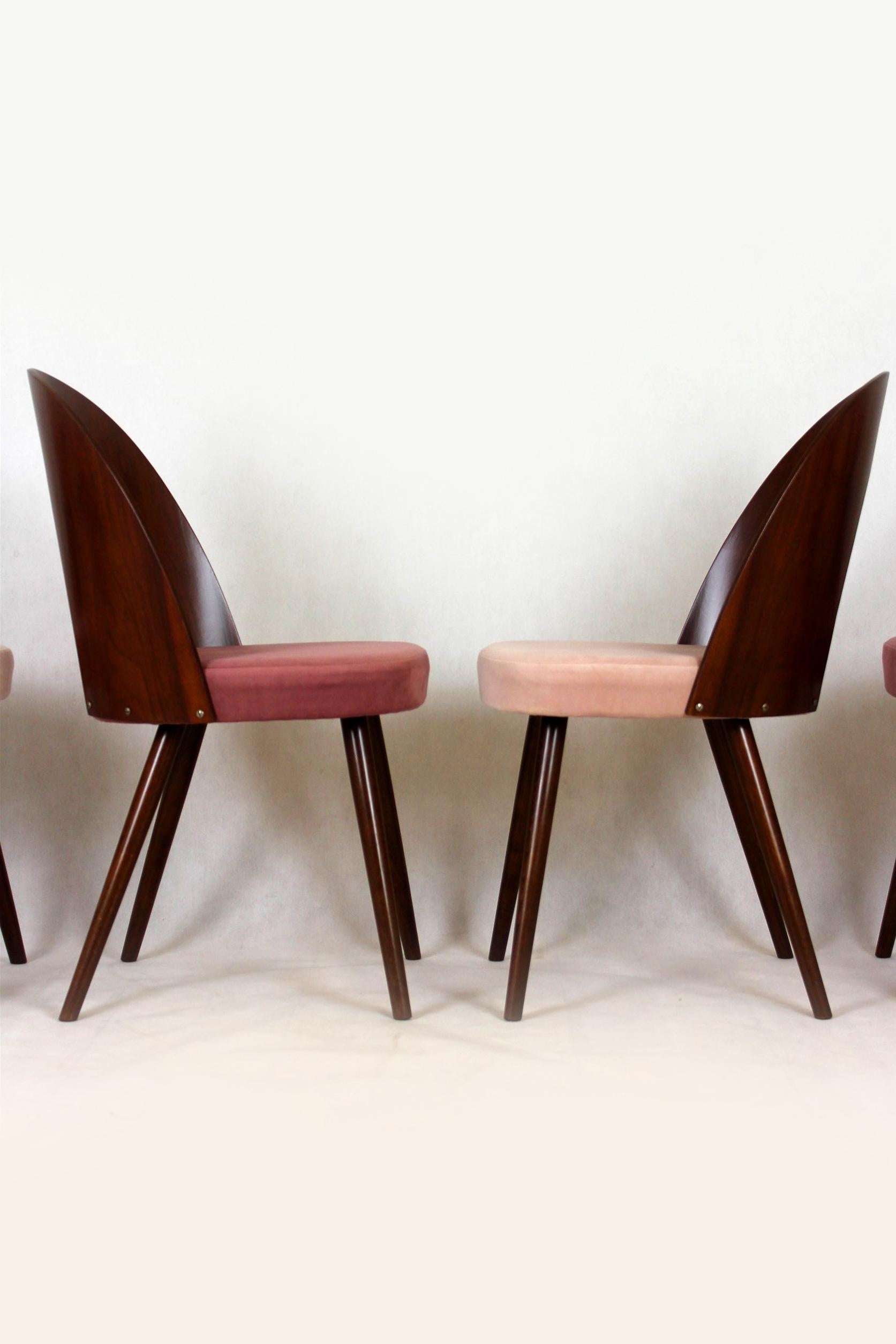 Reupholstered Dining Chairs by Antonin Suman, 1960s, Set of 4 1