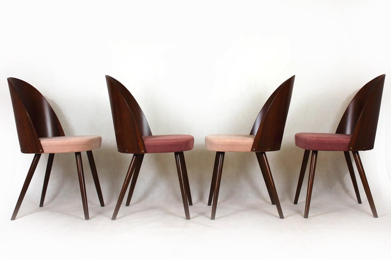 Reupholstered Dining Chairs by Antonin Suman, 1960s, Set of 4 For Sale 3