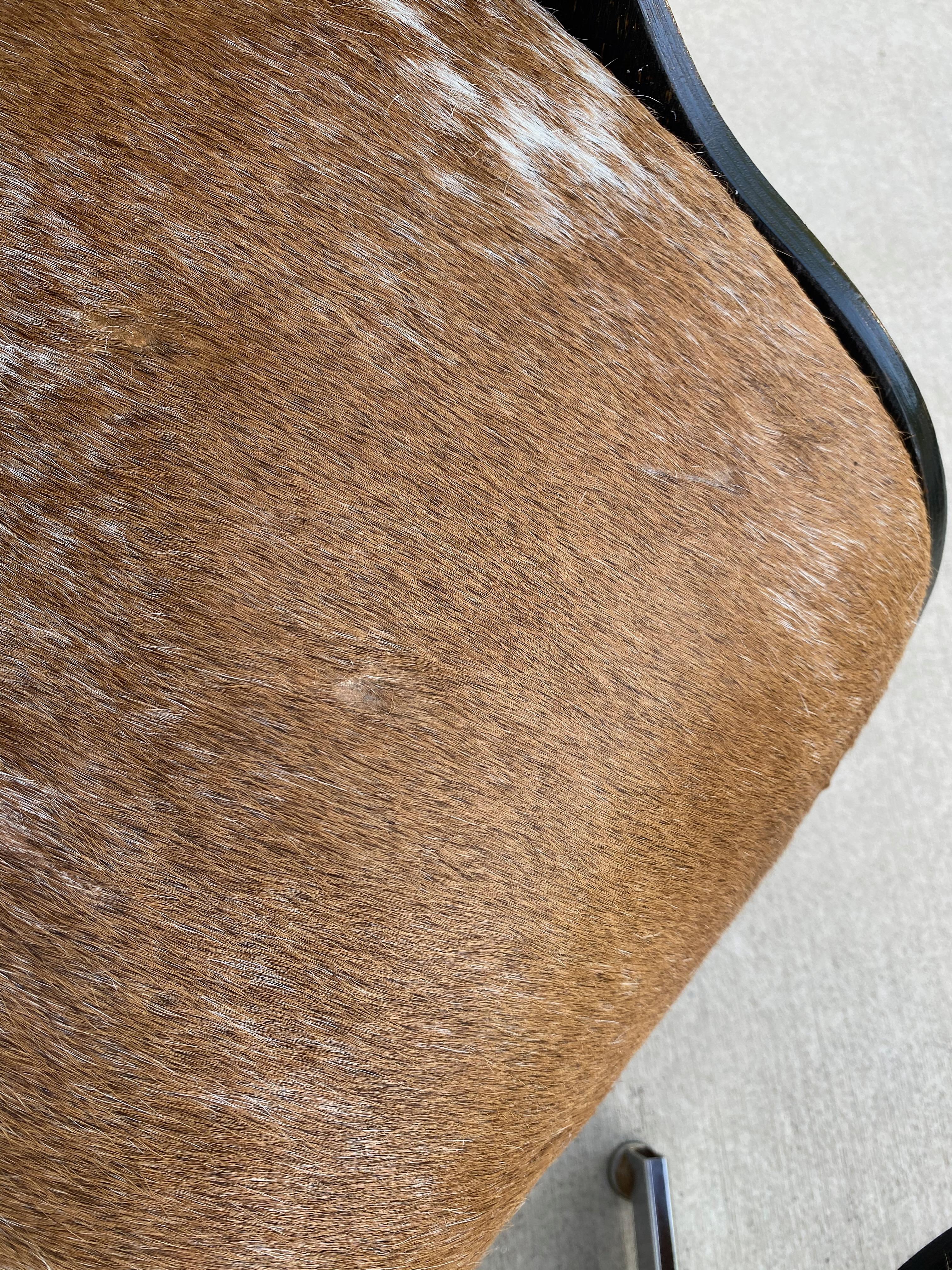 Reupholstered Mcm Lounge Chair Set in Cowhide 8