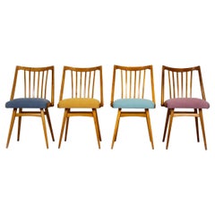 Reupholstered Oak Dining Chairs from Interier Praha, 1960s, Set of 4