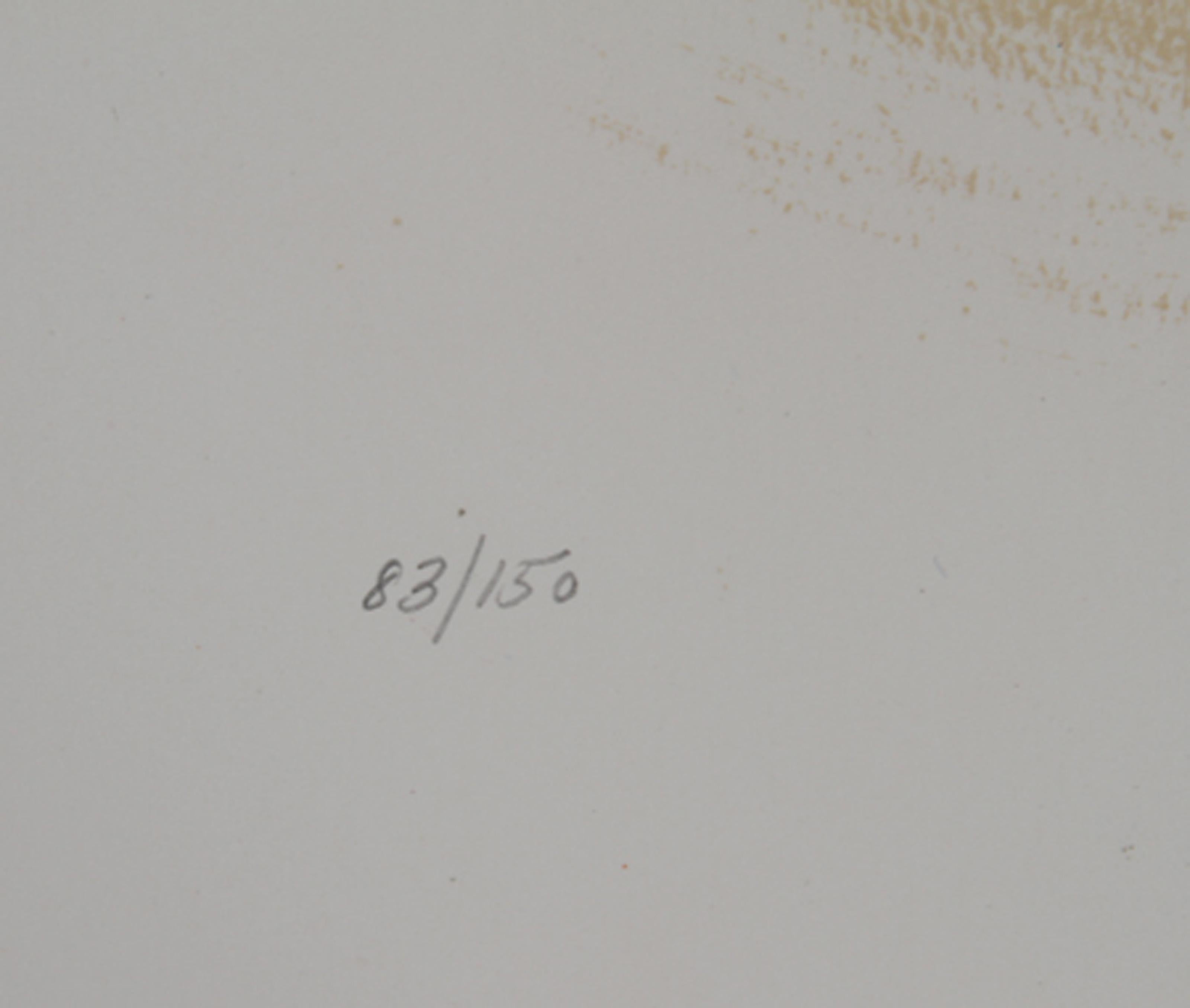 II from Visions of the Bible, Modern Lithograph by Reuven Rubin For Sale 2