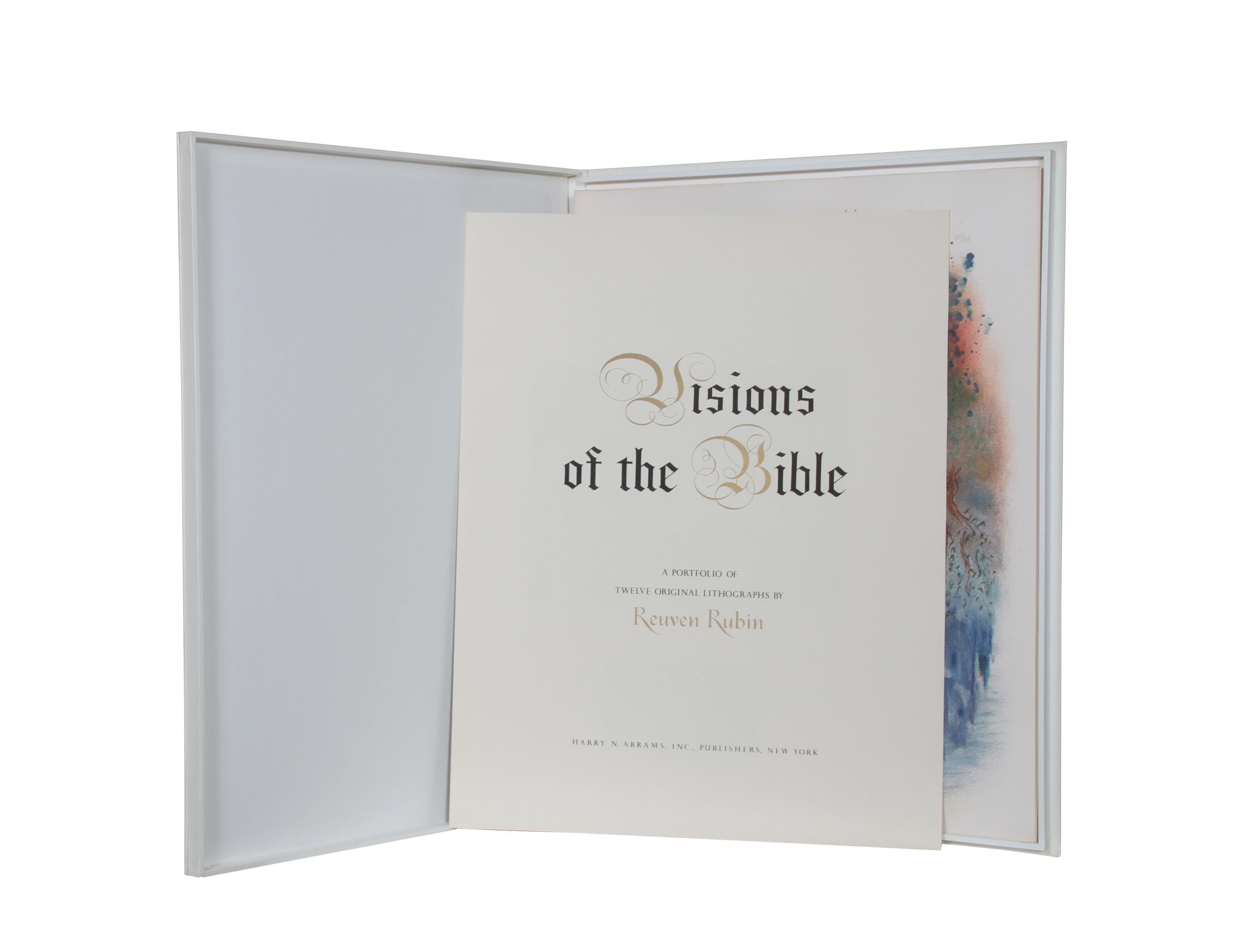 Cartera Visiones de la Biblia, 12 litografías de Reuven Rubin en venta 3