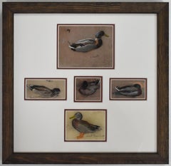 Vintage "DUCKS" A VARIETY OF SMALL WORKS