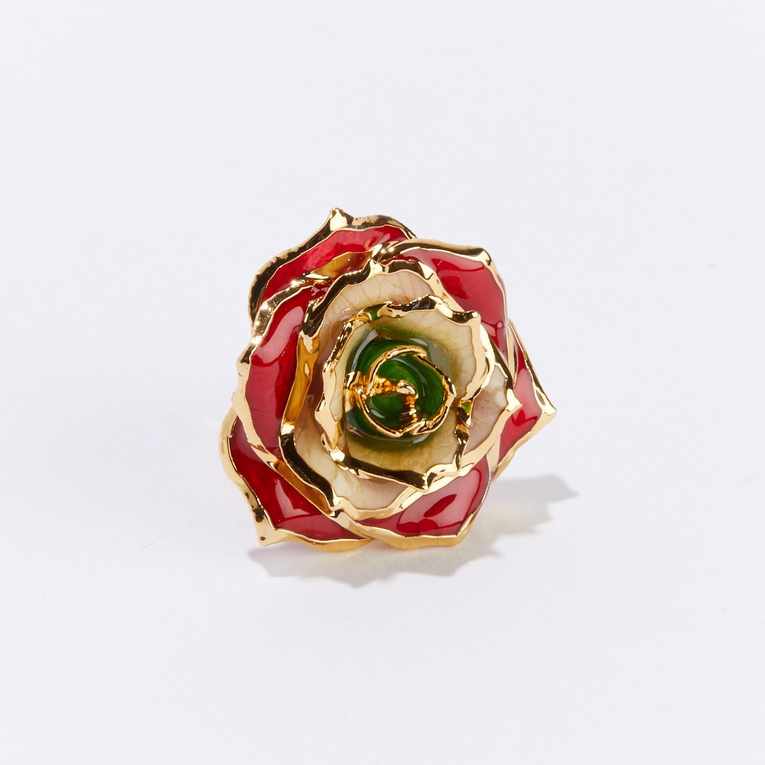 Modern Revolutionary Rose of Lebanon, Glossy Lacquer Real Rose Eternal Lapel Pin For Sale