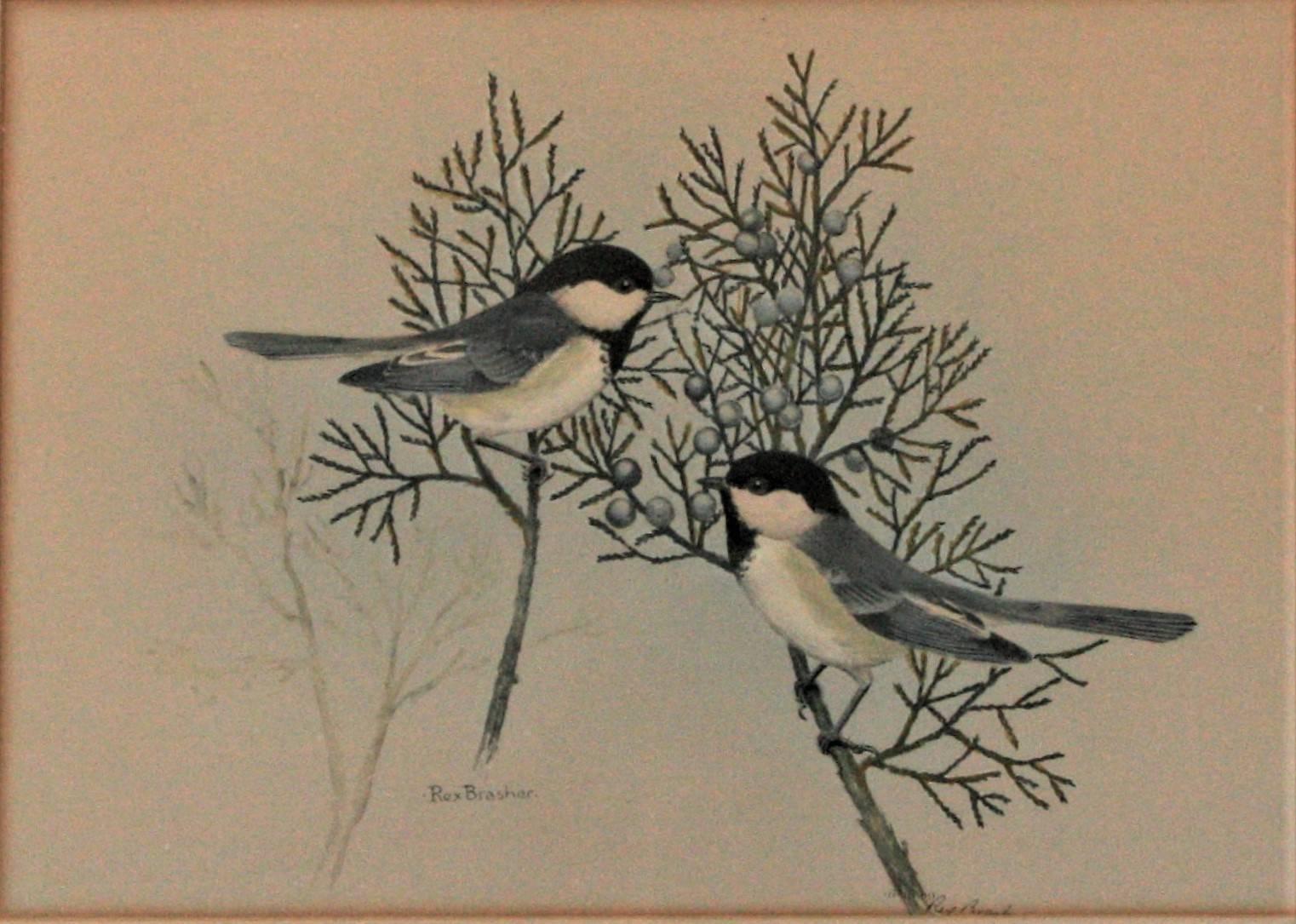 Chickadee and Long-tailed Chickadee - Print by Rex Brasher