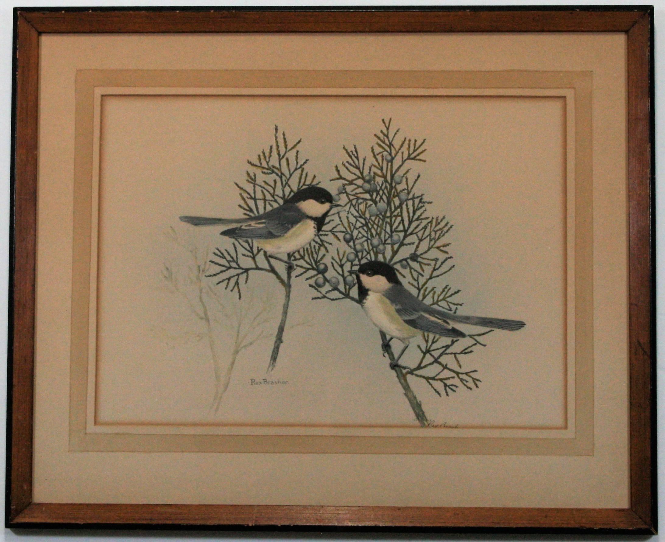 Rex Brasher Landscape Print - Chickadee and Long-tailed Chickadee