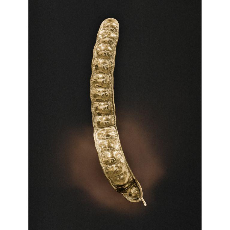 Lámpara de Pared Rheedi: Iluminación de latón pulido con elegancia orgánica y sofisticación en Nuevo estado para la venta en Porto, PT
