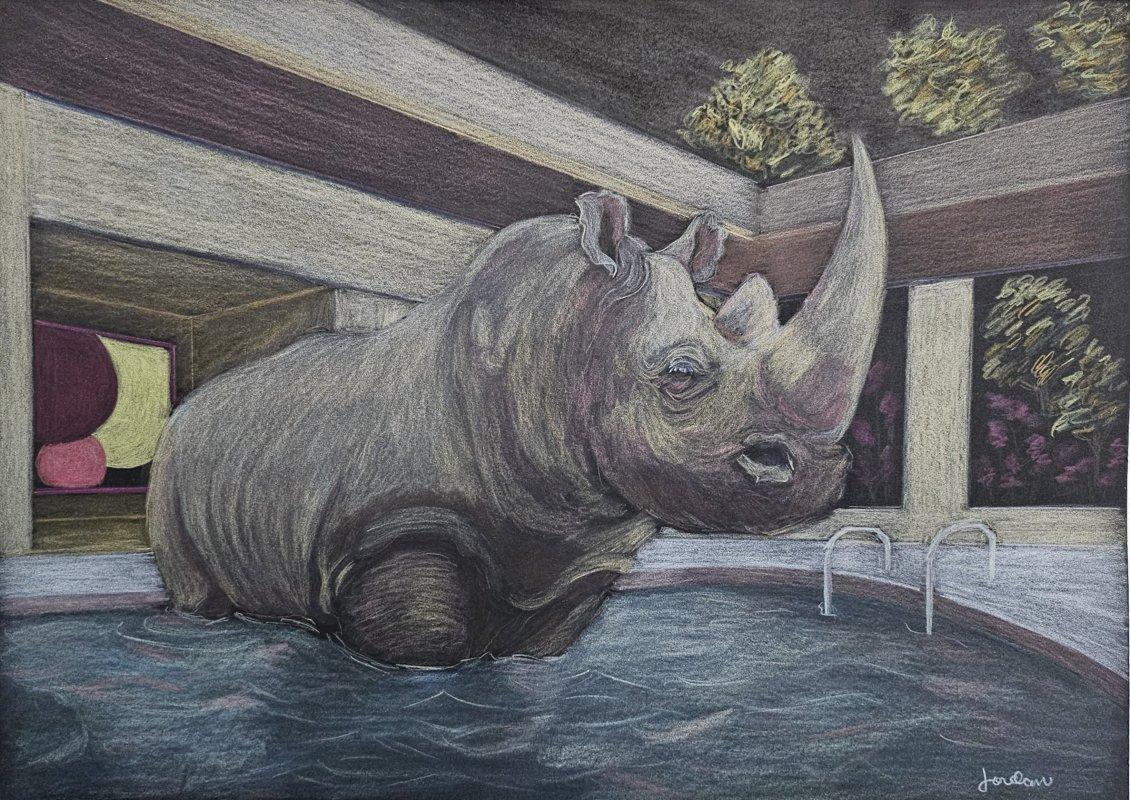 Altro ARTE: Rinoceronte in piscina Acquerello d'arte originale VENDITA CHIUSA in vendita