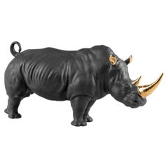 Rhino, Limited Edition