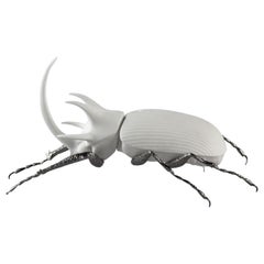 Rhinoceros Beetle Figurine, Matte White