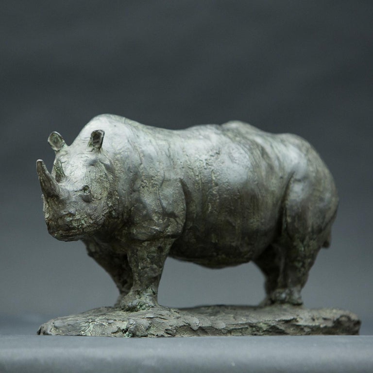 This is an original piece by Raffaello Romanelli executed in 2011 after being commissioned by a private collector to the Galleria. The rhinoceros was modeled with clay looking at different pictures and the clay mold was then used for obtaining the