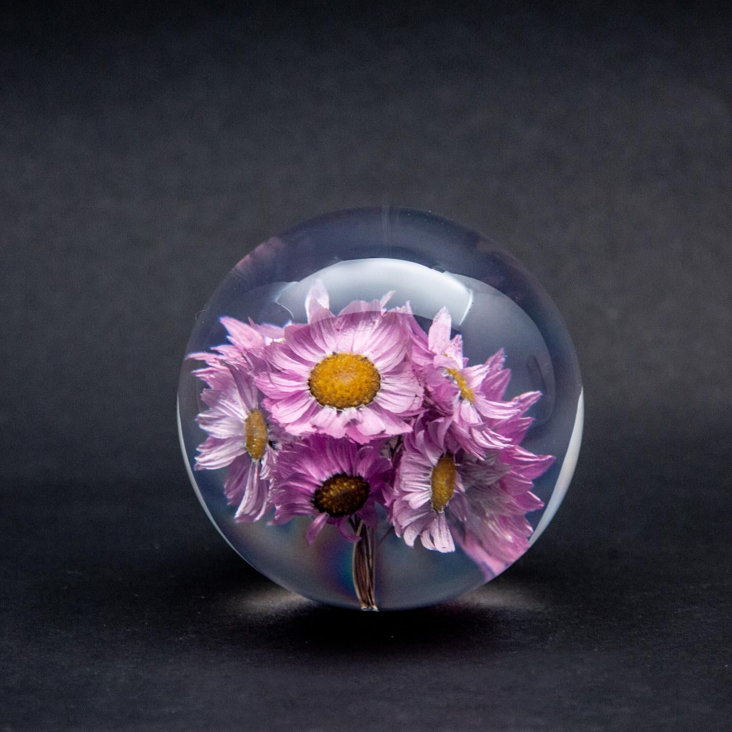 Rhodanthe Paperweight In New Condition In New York, NY