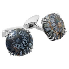 Rhodium Plated Sterling Silver Pyritized Ammonite Cufflinks, Limited Edition