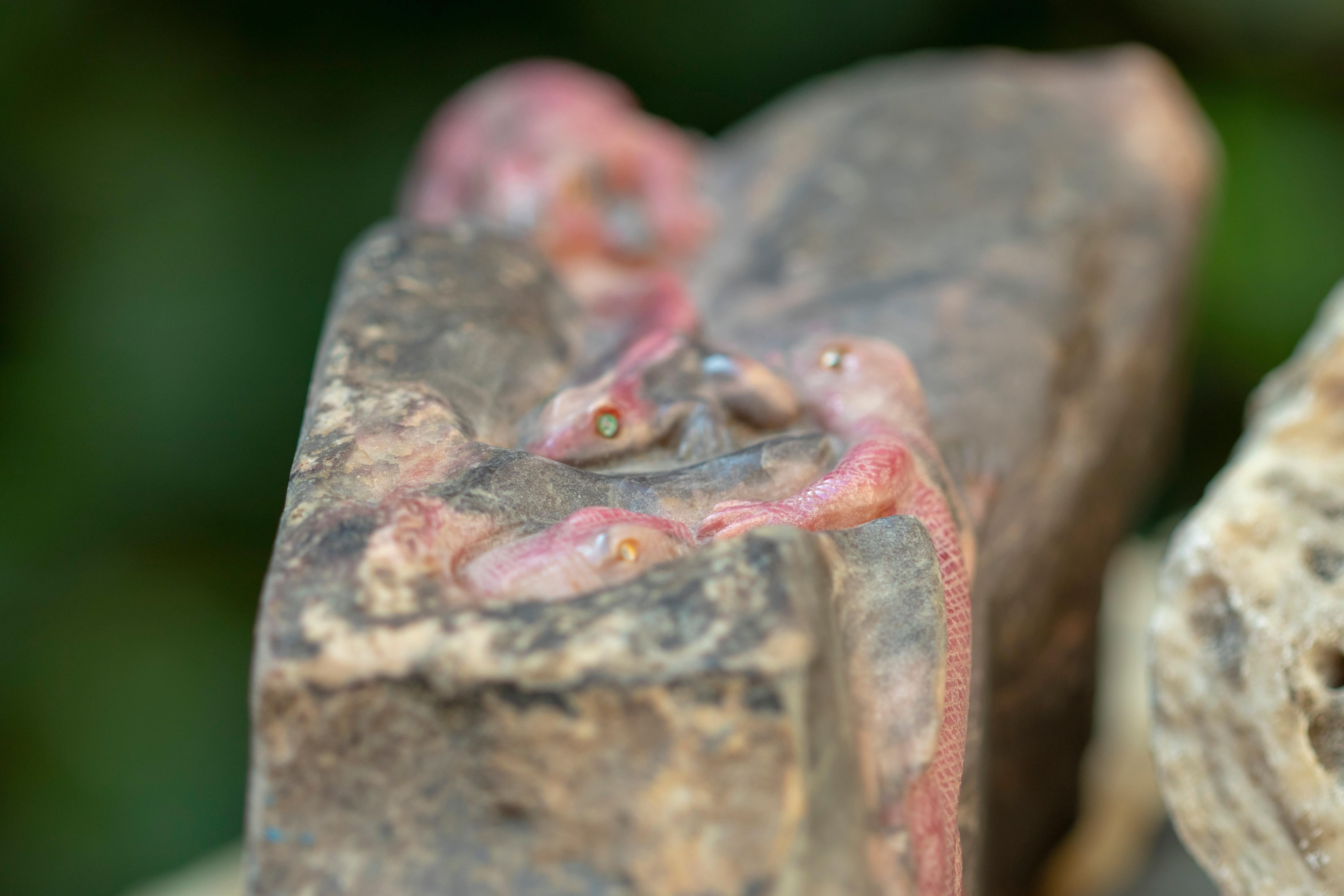 Other Rhodochrosite Lizard Frog Gemstone Carved Animal Handmade Chinese Sculpture For Sale