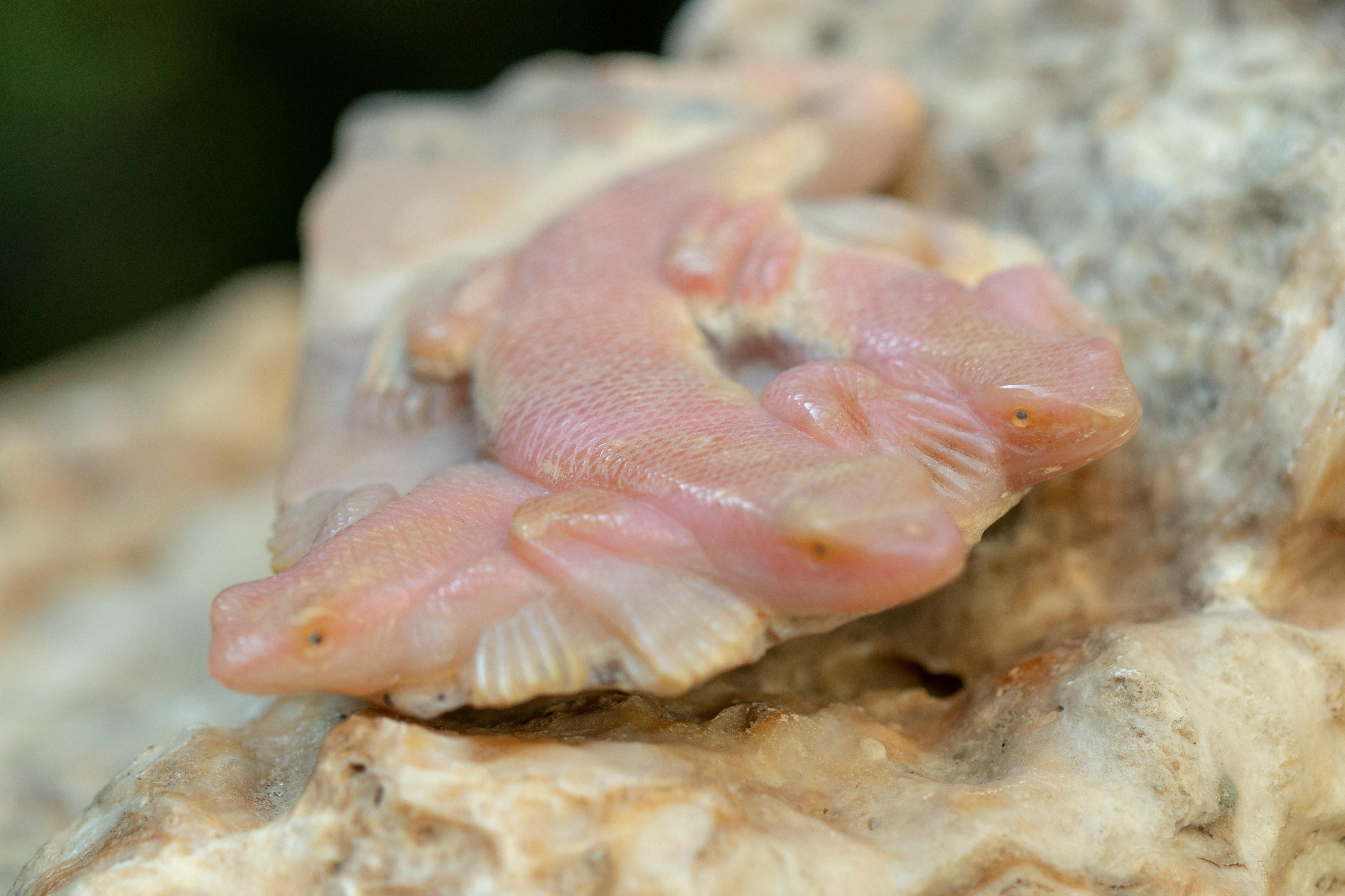 Late 20th Century Rhodochrosite Lizard Gemstone Carved Animal Handmade Chinese Sculpture For Sale