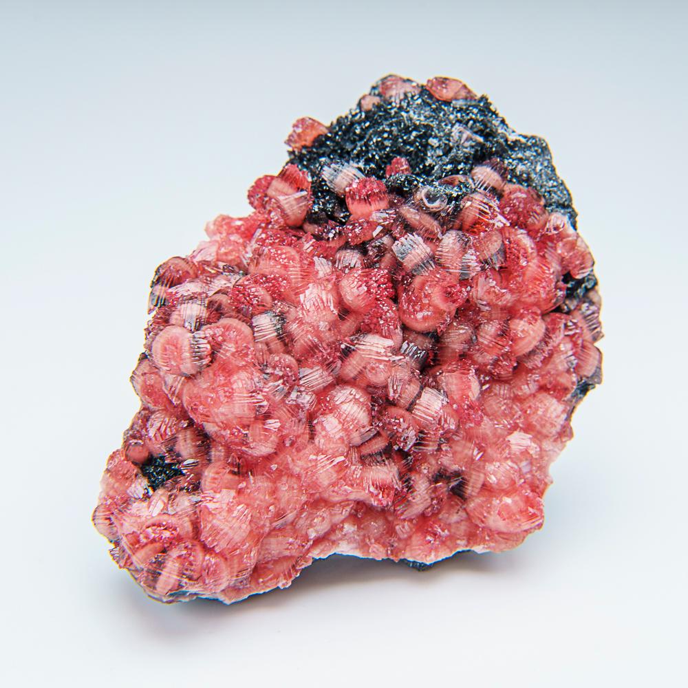 Rhodochrosit auf Manganit aus der Mine N'Chwaning II, Südafrika (Sonstiges) im Angebot