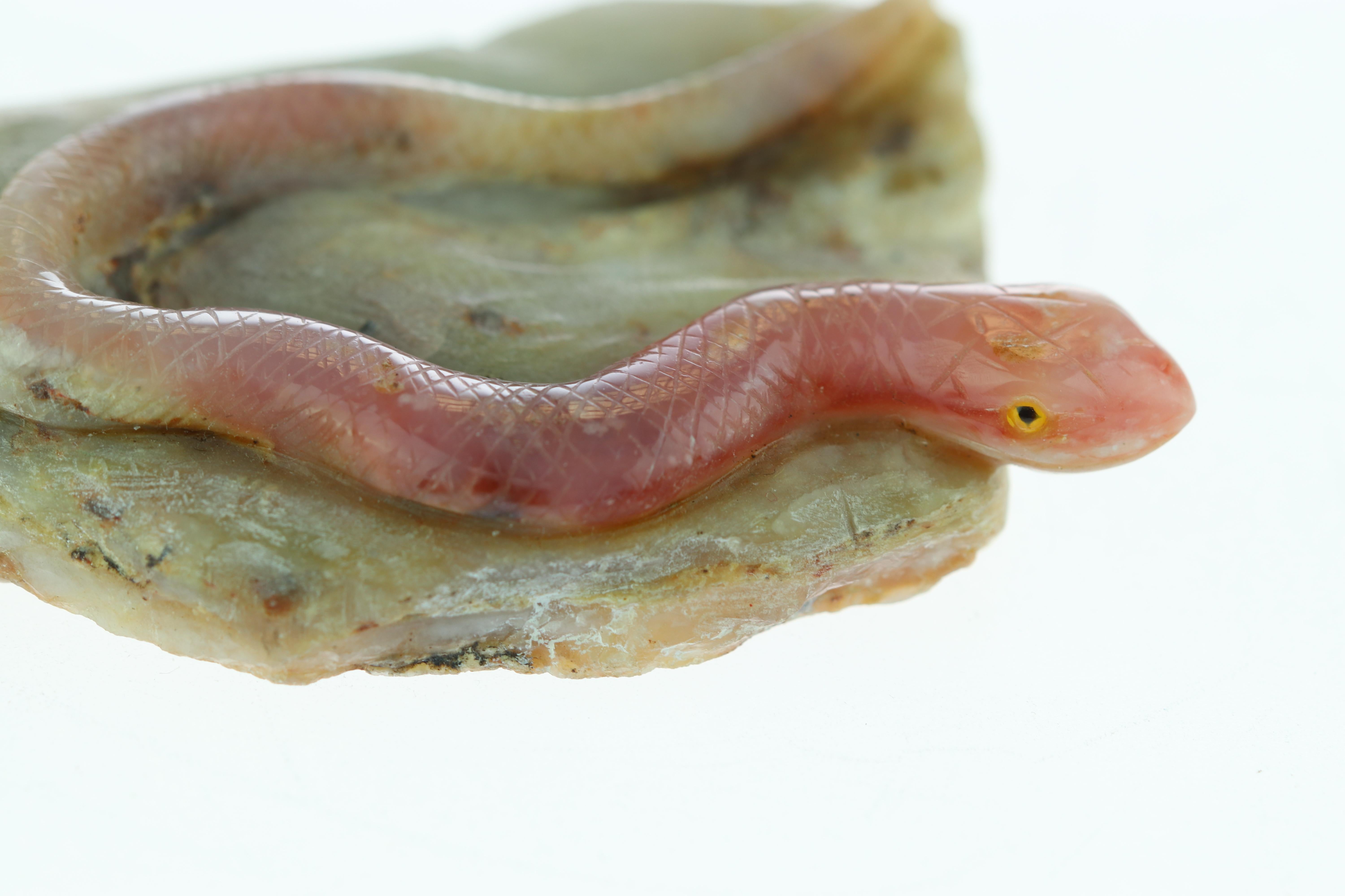 pink snake for sale
