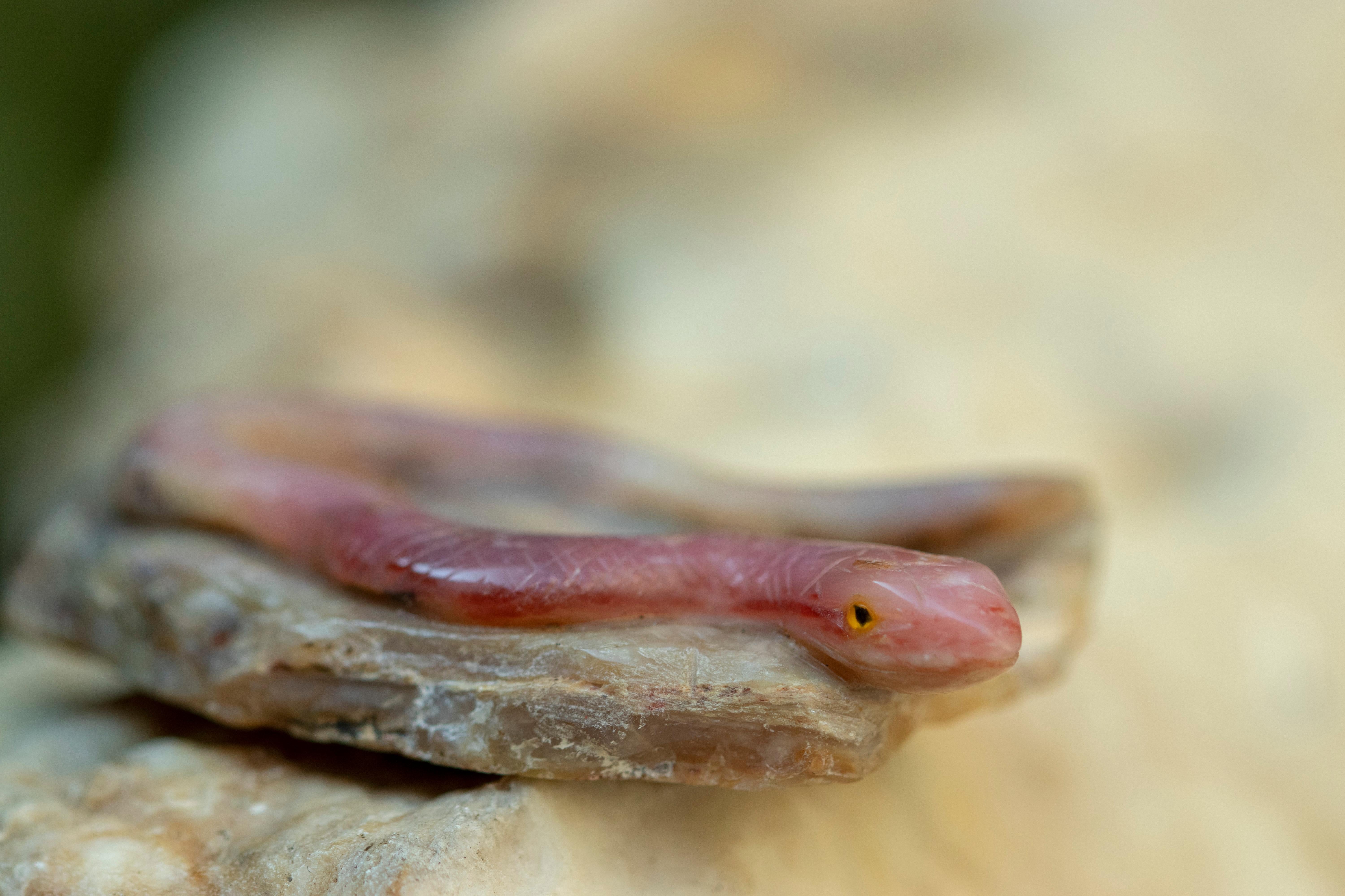 Late 20th Century Rhodochrosite Pink Snake Figurine Carved Animal Artisanal Chinese Sculpture For Sale