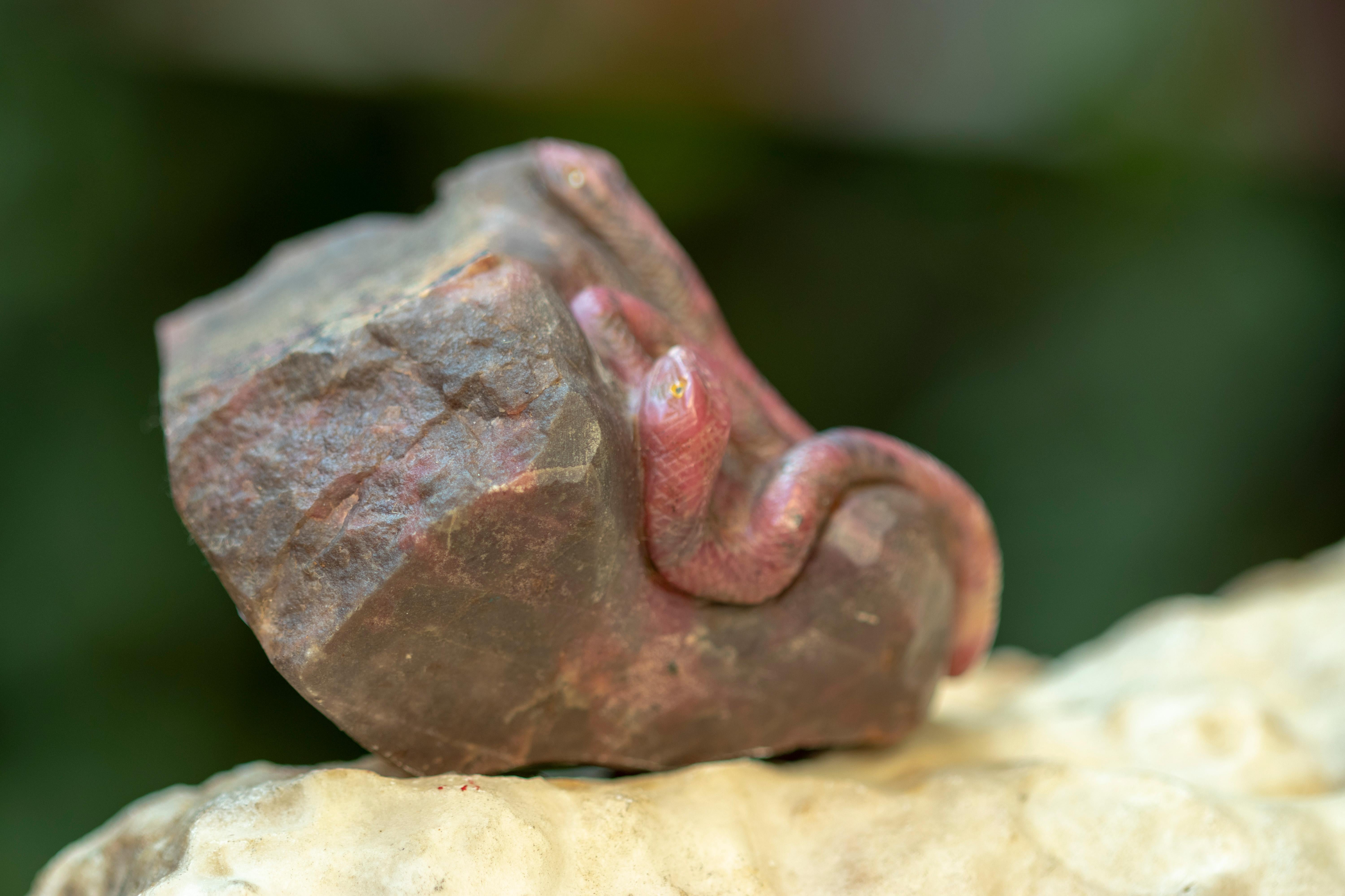 Hong Kong Rhodochrosite Snake Frog Figurine Carved Animal Artisanal Chinese Sculpture For Sale
